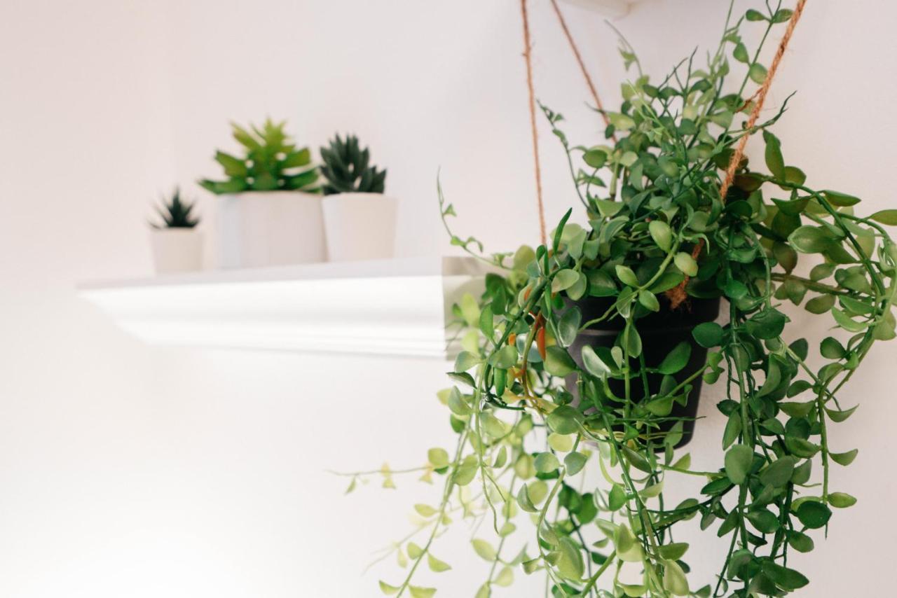 Appartamento Designwunder Hardtmuth Vienna Esterno foto